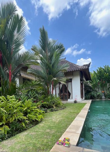 Villa Exotica Ubud Kültér fotó